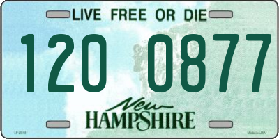 NH license plate 1200877