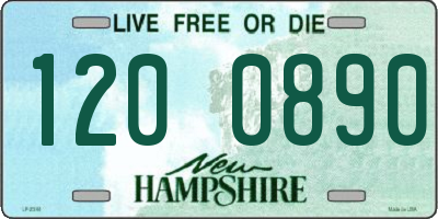 NH license plate 1200890