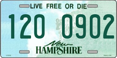 NH license plate 1200902