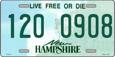NH license plate 1200908