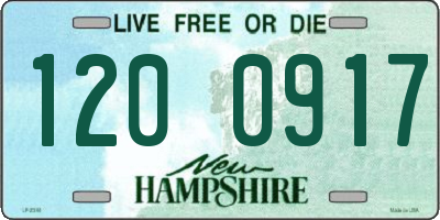 NH license plate 1200917