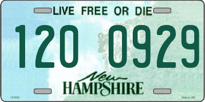NH license plate 1200929