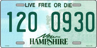 NH license plate 1200930