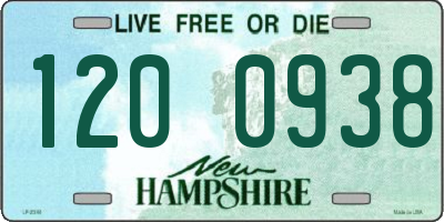 NH license plate 1200938