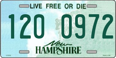 NH license plate 1200972