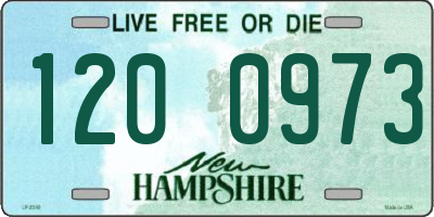 NH license plate 1200973