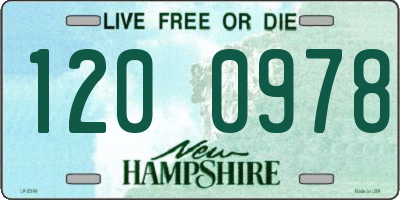 NH license plate 1200978