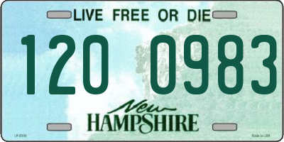 NH license plate 1200983
