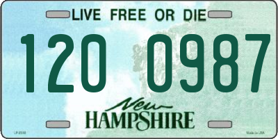NH license plate 1200987