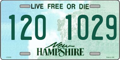 NH license plate 1201029