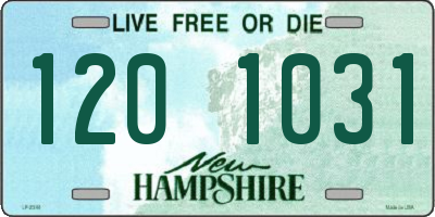NH license plate 1201031