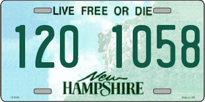 NH license plate 1201058
