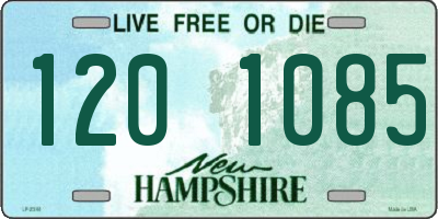 NH license plate 1201085