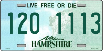 NH license plate 1201113