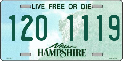 NH license plate 1201119