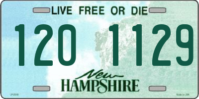 NH license plate 1201129
