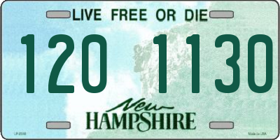 NH license plate 1201130