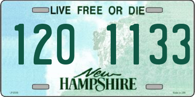 NH license plate 1201133