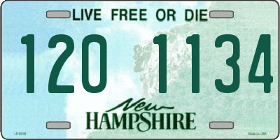 NH license plate 1201134