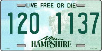 NH license plate 1201137
