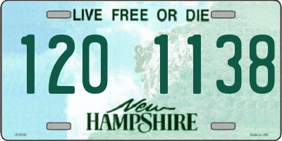 NH license plate 1201138