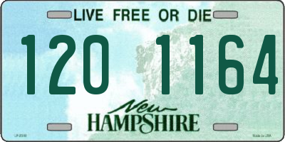 NH license plate 1201164