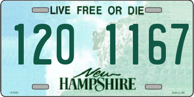 NH license plate 1201167