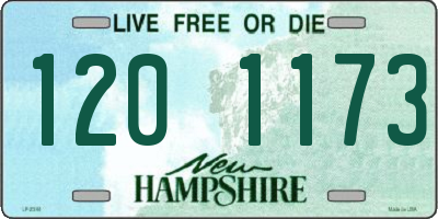 NH license plate 1201173