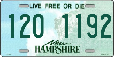 NH license plate 1201192