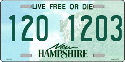 NH license plate 1201203