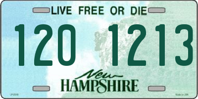 NH license plate 1201213