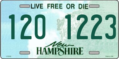 NH license plate 1201223