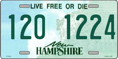 NH license plate 1201224