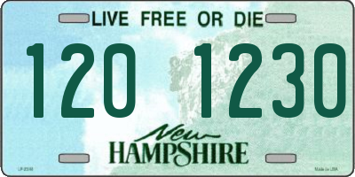 NH license plate 1201230