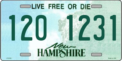 NH license plate 1201231