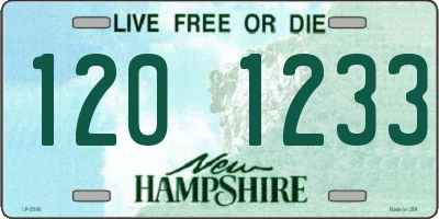 NH license plate 1201233