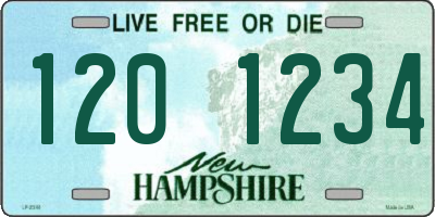 NH license plate 1201234