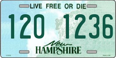 NH license plate 1201236