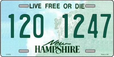 NH license plate 1201247