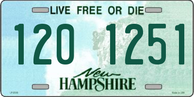 NH license plate 1201251