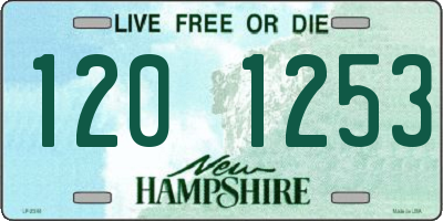 NH license plate 1201253
