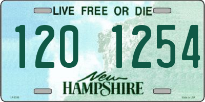 NH license plate 1201254