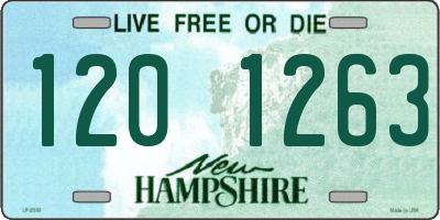 NH license plate 1201263