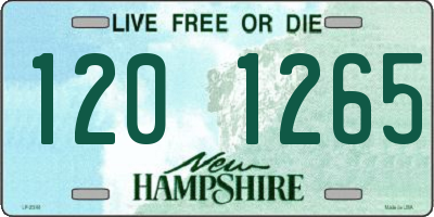 NH license plate 1201265