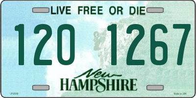 NH license plate 1201267