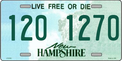 NH license plate 1201270