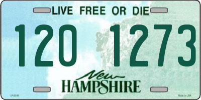 NH license plate 1201273