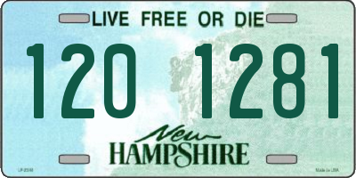 NH license plate 1201281