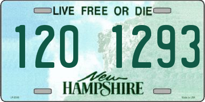 NH license plate 1201293