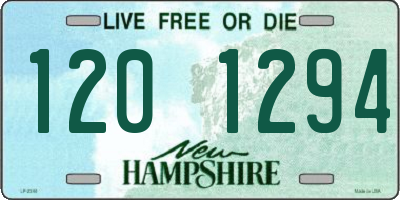 NH license plate 1201294